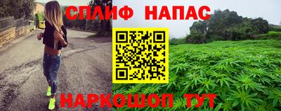 сатива Гагарин