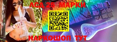сатива Гагарин