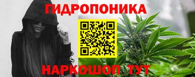 скорость Гатчина