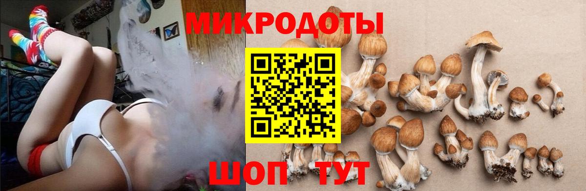 Галлюциногенные грибы GOLDEN TEACHER  как найти закладки  Барабинск  Вход с VPN 